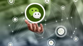 微信上千萬別做的危險行為，三言兩語就可能送你坐牢